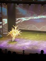 Akrobatik Show Beijing