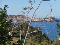Portoferraio auf Elba