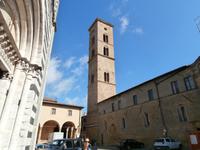 Volterra