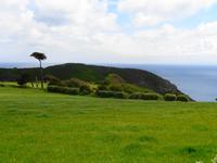 Sark, Spaziergang an der Küste 