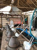 Kashan Destillerie für Rosenblätter