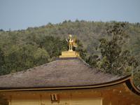 Kyoto - Goldener Pavillon - Kinkakuji Tempel