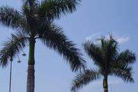 Stadtbesichtigung Lima