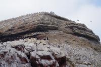 Islas Ballestas