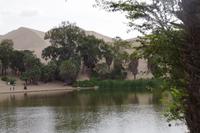 Oase Huacachina