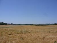 Tag 4 - 6 - Fotostopp auf Plateau de Valensole (2)