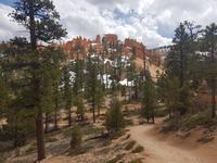 23. Der Bryce Canyon National Park (14)