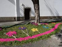 Ribeira Brava - Blumenfestatmosphäre