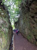 Madeira, Ribeira Frio, Wanderung Balcoes