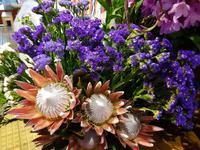 Madeira, Funchal, Markthalle