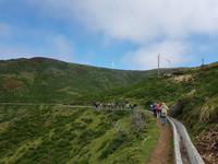 Madeira, Levada do Paul