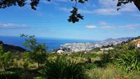 Madeira, Funchal, Blick vom Palheiro Garden