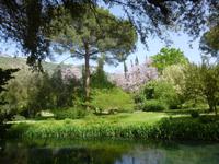 Ninfa