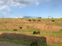 Auf dem Weg nach Samarkand