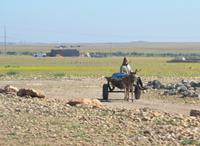 Auf dem Weg an die Küste
