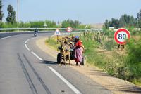 Eselskarren in der Landwirtschaft