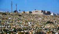 muslimischer Friedhof