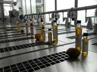 Olivenöl bei Pietro