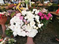 am Piazza dei Fiori