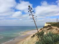 Tag 4 - kurz hinter Porto de Mós 