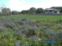 Wanderung zur Kornmühle