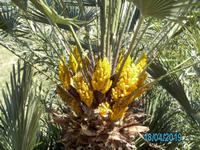 Wanderung nach Tropea