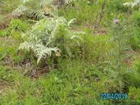 Wanderung Lago Angítola