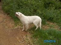 Wanderung Lago Angítola