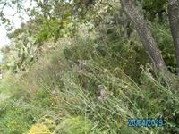 Wanderung Monte Poro