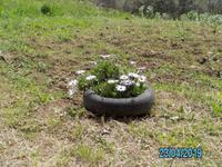 Blumendeko