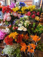 Madeira - Funchal, Markthalle 