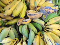 Madeira - Funchal, Markthalle 