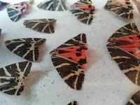 So sehen die Bewohner des Tales aus