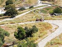 Auf dem Esel durch Lindos