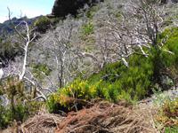 Madeira - Wanderung Pico do Arieiro - Pico Ruivo - Achada do Teixeira 