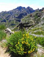 Madeira - Wanderung Pico do Arieiro - Pico Ruivo - Achada do Teixeira 