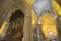 Blick auf Orgel und in die Kuppel