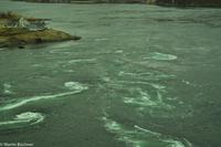 Hurtigruten - MS Nordnorge (86)