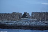Hurtigruten - MS Nordnorge (107)