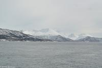 Hurtigruten - MS Nordnorge (111)