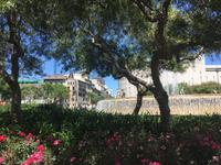 Brunnen auf dem Plaza Catalunya