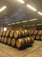 Fa¨sser in der Weinkellerei