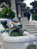 Salamander Barcelona