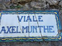 AxelMunthe
