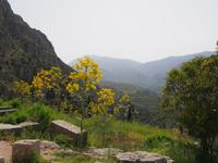 Ausgrabungsstätte in Delphi