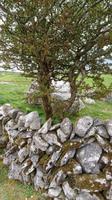 Trockensteinmauer