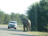 Krüger Nationalpark