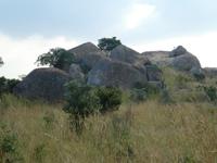 Krüger Nationalpark