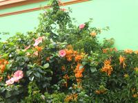 Kapstadt Bo Kaap Viertel