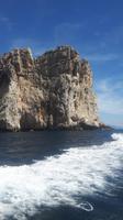 Alghero (Bootsfahrt zur Neptungrotte - Capo Caccia)